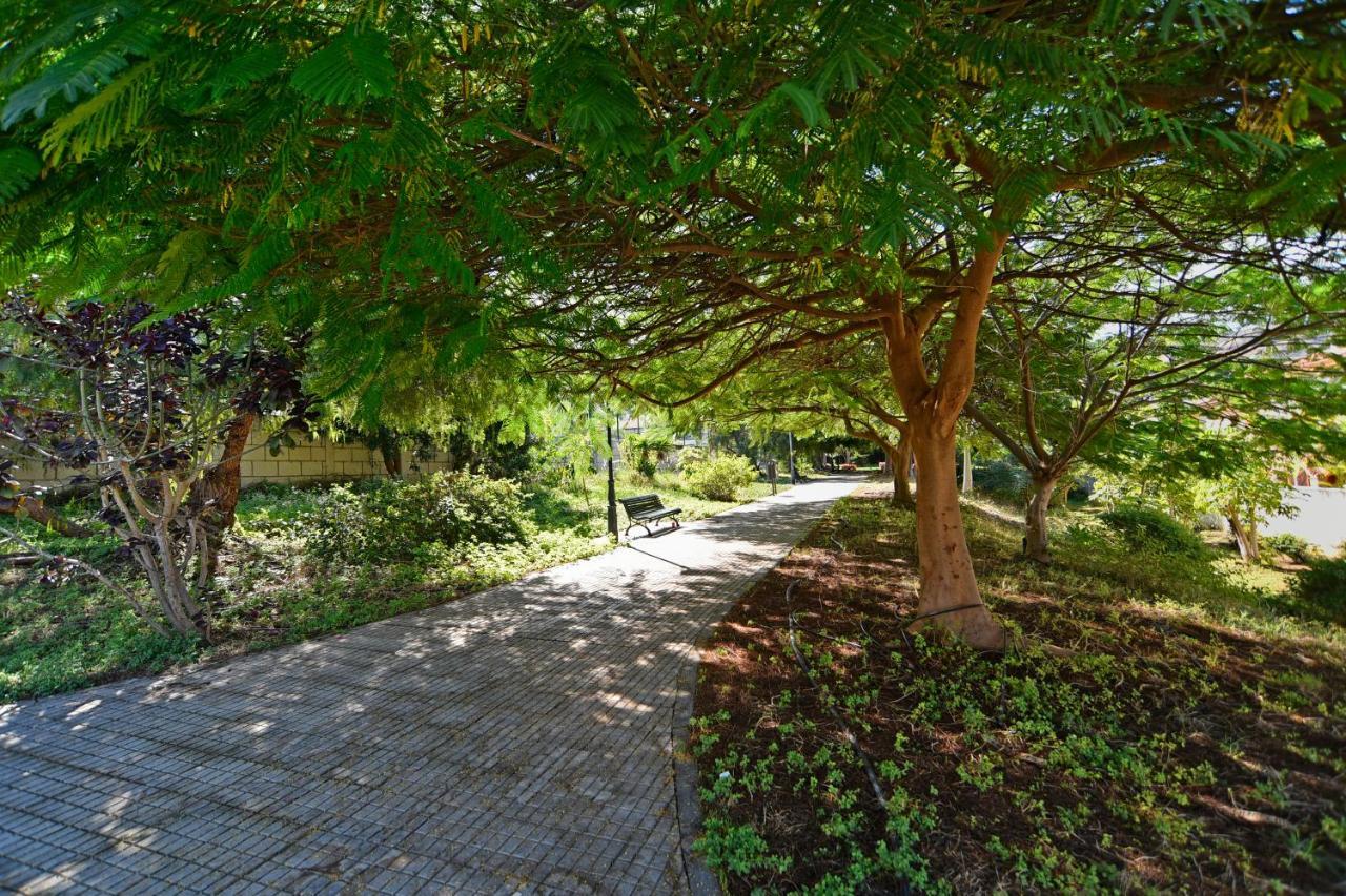 Apartamentos Lavanda ปูแอร์โตเดลาครูซ ภายนอก รูปภาพ
